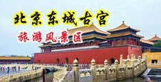 美女激情喷了好多水视频中国北京-东城古宫旅游风景区